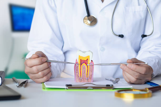 Best 24-Hour Emergency Dental Care in San Antonio, FL